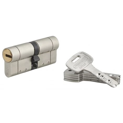 THIRARD - Cylindre De Serrure Double Entrée Federal S, 35x35mm, Nickel, Anti-arrachement, Anti-perçage, 5 Clés