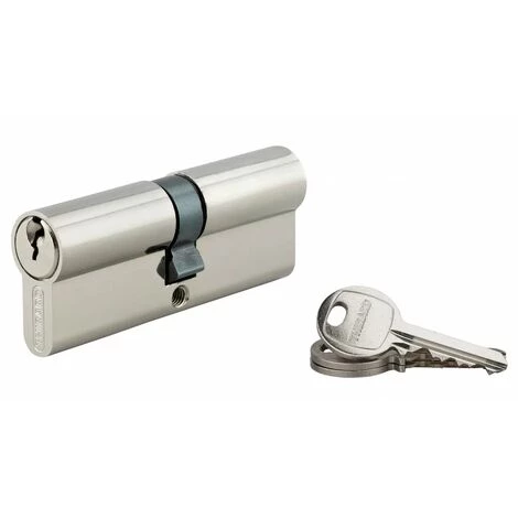 THIRARD - Cylindre à Clé Crantée 40 X 40 Mm 3 Clés Avec Vis De 45 Mm Nickelé