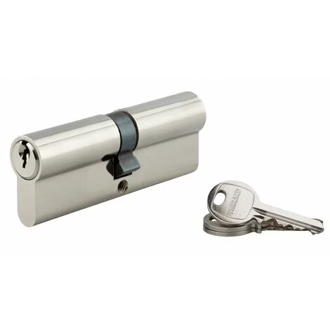 THIRARD - Cylindre à Clé Crantée 45 X 45 Mm 3 Clés Avec Vis De 50 Mm Nickelé