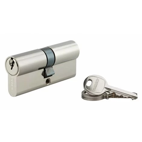 THIRARD - Cylindre à Clé Crantée 35 X 35 Mm 3 Clés Avec Vis De 45 Mm Nickelé