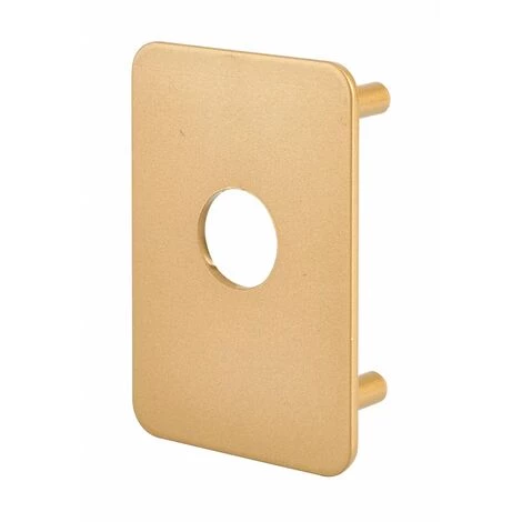 THIRARD - Plaque De Renfort Porte Isoplane Type Capital Et Transit 2 époxy Or