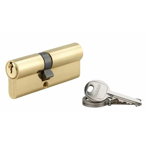 THIRARD - Cylindre 35 X 45 Mm 3 Clés Avec Vis De 45 Mm Laitonné