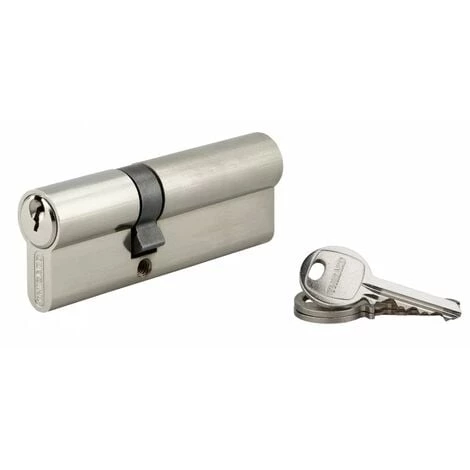 THIRARD - Cylindre à Clé Crantée 35 X 55 Mm Nickelé 3 Clés