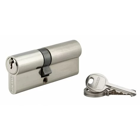 THIRARD - Cylindre à Clé Crantée 35 X 45 Mm 3 Clés Avec Vis De 40 Mm Nickelé