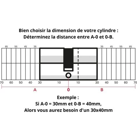 THIRARD - Cylindre De Serrure Double Entrée Federal S, 30x30mm, Nickel, Anti-arrachement, Anti-perçage, 5 Clés – Image 3