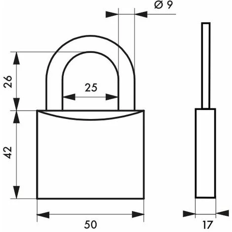 THIRARD - Cadenas à Clé Type 1, Laiton, Extérieur, Anse Acier, 50mm, 2 Clés – Image 2