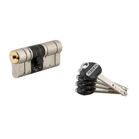 THIRARD - Cylindre De Serrure Double Entrée Federal 2, 32x42mm, Nickel, Anti-arrachement, Anti-perçage, 5 Clés