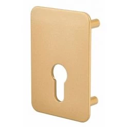 THIRARD - Plaque De Renfort Porte Isoplane Type Capital à Cylindre Profilé, époxy Bronze