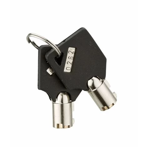 THIRARD - Coffre-fort VINCENNES 2 - 2 Pênes – Image 2