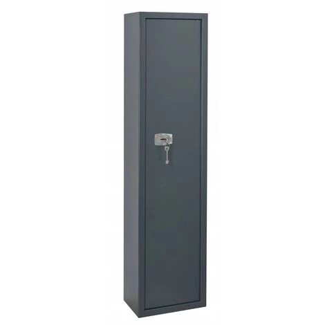 THIRARD - Armoire à Fusil BRISSAC - 2 Pênes 5 Fusils