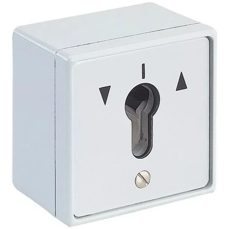 THIRARD - Contacteur à Clé à Appliquer Sans Cylindre