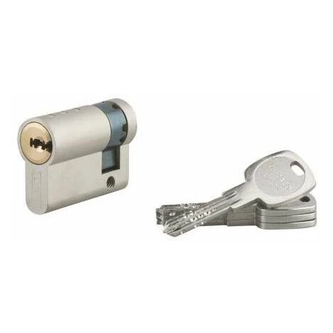 Demi Cylindre Profile TRAFIC 6, Laiton Nickel, 30x10, 5 Clés THIRARD