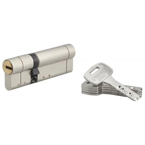 THIRARD - Cylindre De Serrure Double Entrée Federal S, 30x60mm, Nickel, Anti-arrachement, Anti-perçage, 5 Clés