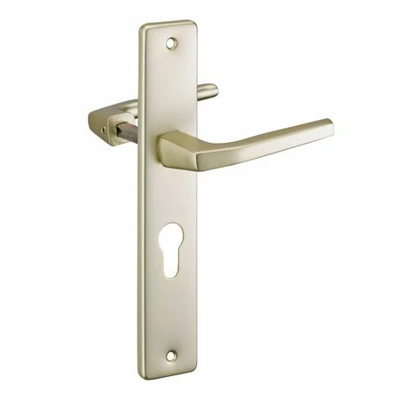 THIRARD - Paire De Béquilles Pour Porte, Carré 8mm + 1 Plaque Carré 8 X 56mm, Trou De Cylindre