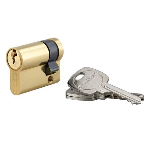 THIRARD - Demi-cylindre De Serrure, 30x10mm, Anti-arrachement, Laiton, 3 Clés