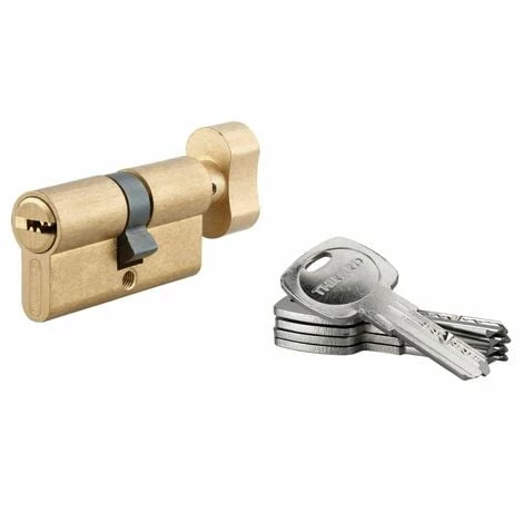 THIRARD - Cylindre De Serrure à Bouton Tiger 6, 30Bx30mm, Laiton, Anti-arrachement, Anti-perçage, 5 Clés