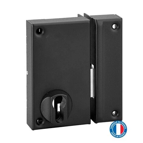 THIRARD - Boitier De Serrure Verticale En Applique Double Entrée Pour Porte De Cave, Pêne Seul, Droite, Axe 45mm, 75x130mm, Noir