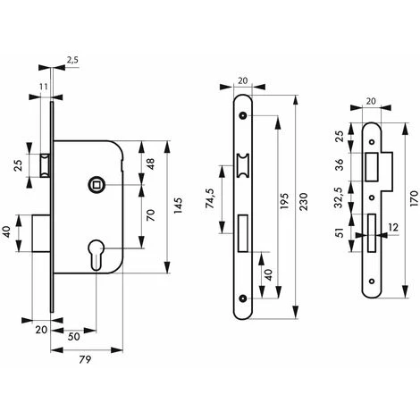 THIRARD - Boitier De Serrure Encastrable à Cylindre Pour Porte D'entrée, Axe 50mm, Bouts Ronds, Zingué – Image 2