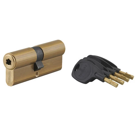 THIRARD - Cylindre De Serrure Double Entrée Surveyor, 41x41mm, Laiton, Anti-arrachement, 4 Clés