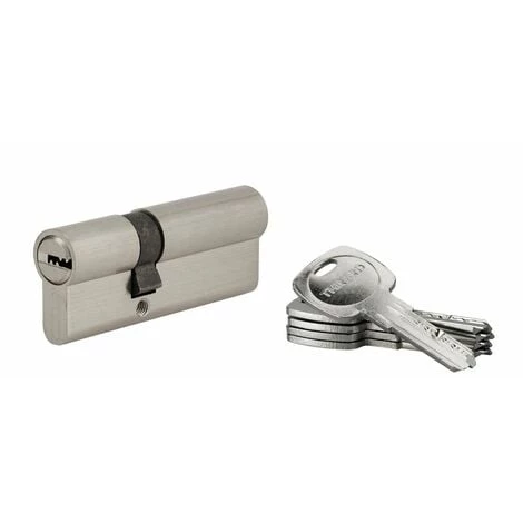 THIRARD - Cylindre De Serrure à Double Entrée Tiger 6, 30x50mm, Nickel, Anti-arrachement, Anti-perçage, 5 Clés