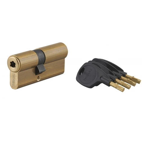 THIRARD - Cylindre De Serrure Double Entrée Surveyor, 31x41mm, Laiton, Anti-arrachement, 4 Clés