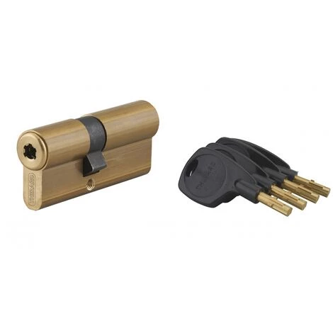 THIRARD - Cylindre De Serrure Double Entrée Surveyor, 31x41mm, Laiton, Anti-arrachement, 4 Clés – Image 2