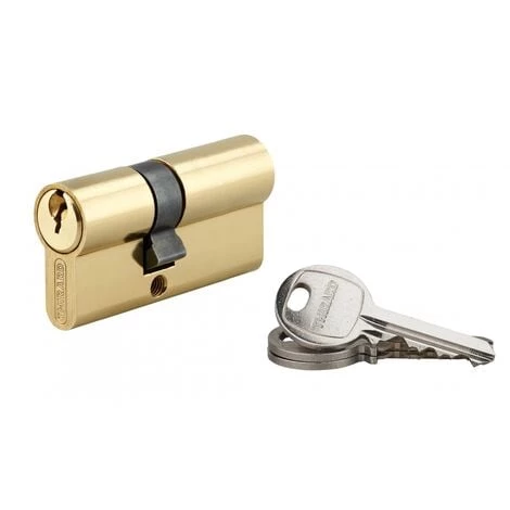 THIRARD - Cylindre De Serrure Double Entrée SA, 25x35mm, Anti-arrachement, Laiton, 3 Clés