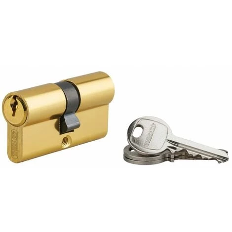 THIRARD - Cylindre De Serrure Double Entrée Ecopro, 30x30mm, Aluminium, Anti-arrachement, 3 Clés, Laiton