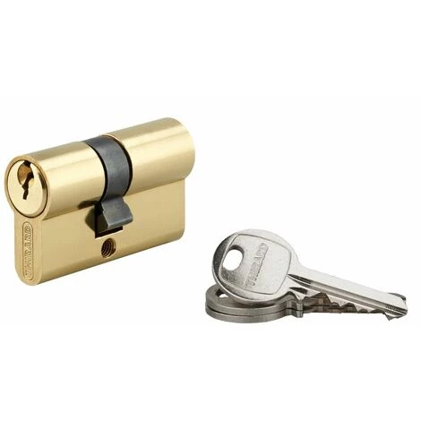 THIRARD - Cylindre De Serrure Double Entrée SA, 27x27mm, Anti-arrachement, Laiton, 3 Clés