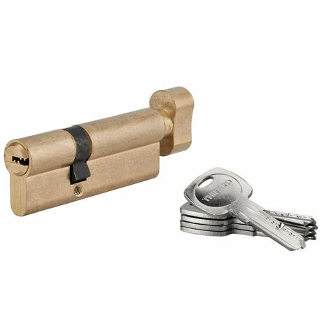 THIRARD - Cylindre De Serrure à Bouton Tiger 6, 50Bx30mm, Laiton, Anti-arrachement, Anti-perçage, 5 Clés