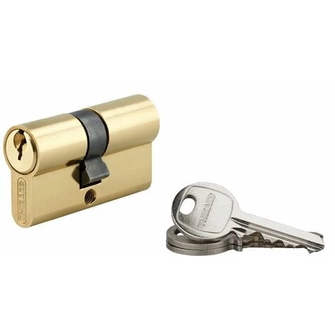 THIRARD - Cylindre De Serrure Double Entrée SA, 25x30mm, Anti-arrachement, Laiton, 3 Clés