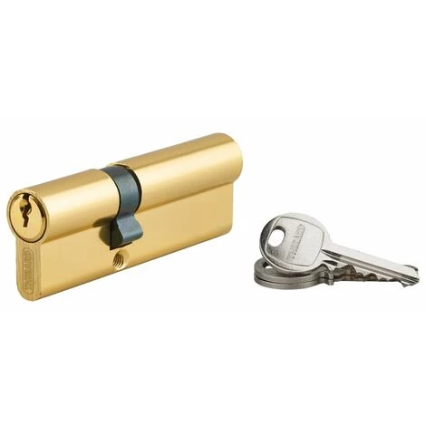 THIRARD - Cylindre De Serrure Double Entrée Ecopro, 35x50mm, Aluminium, Anti-arrachement, 3 Clés, Laiton