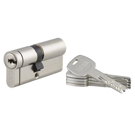 THIRARD - Cylindre De Serrure Double Entrée Transit 2, 40x30mm, Nickel, Anti-perçage, Anti-crochetage Côté 30mm, 3 Clés