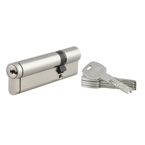 THIRARD - Cylindre De Serrure Double Entrée Transit 2, 30x70mm, Nickel, Anti-arrachement, Anti-perçage, Anti-crochetage, 4 Clés