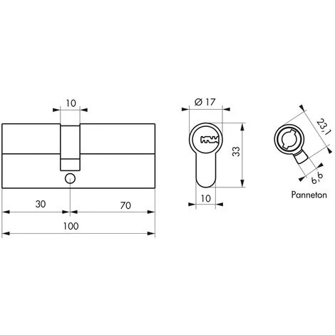 THIRARD - Cylindre De Serrure Double Entrée Transit 2, 30x70mm, Nickel, Anti-arrachement, Anti-perçage, Anti-crochetage, 4 Clés – Image 2