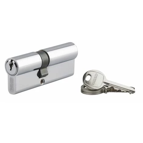 THIRARD - Cylindre De Serrure à Double Entrée Ecopro, 35x45mm, Laiton, 3 Clés