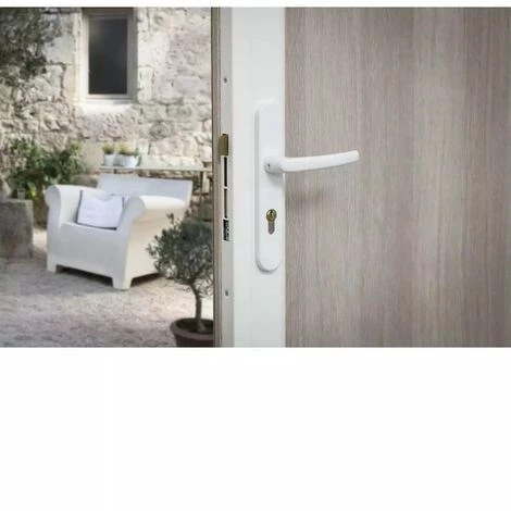 THIRARD - Boîtier Réversible Avec Gâche Standard Pour Porte Haut 2250 Mm Maxi, Blanc – Image 2