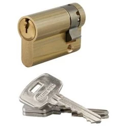 Demi-cylindre Profil Européen HG5 THIRARD 35x10 Mm + 3 Clés - 053510