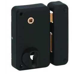 THIRARD Serrure En Applique Verticale à Fouillot Pêne Dormant Et Demitour A Cylindre Européen Optimum Main Droite