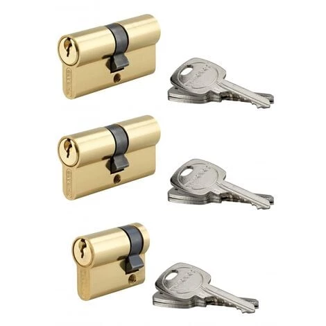 THIRARD - Lot 2 Cylindres 30x30mm + 1 Demi-cylindre 30x10mm S'entrouvrant, 9 Clés