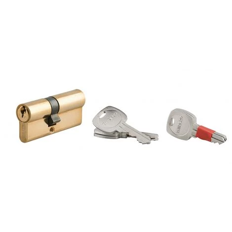 THIRARD - Cylindre De Serrure Double Entrée Clé Modifiable, 30x40mm, Anti-arrachement, Anti-perçage, Laiton, 2x3 Clés