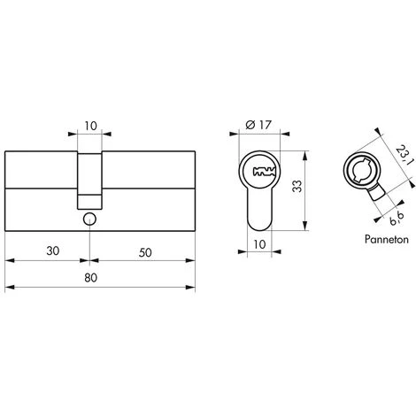 THIRARD - Cylindre De Serrure Double Entrée Trafic 6, 30x50mm, Nickel, Anti-arrachement, Anti-perçage, 5 Clés – Image 2