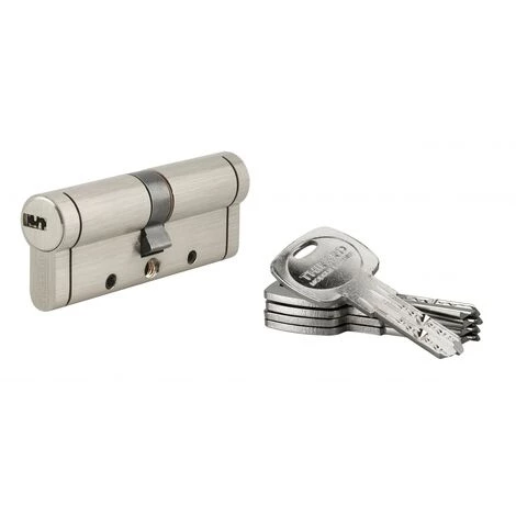 THIRARD - Cylindre De Serrure Trafic 12, 40x40mm, Nickel, Anti-arrachement, Anti-perçage, Anti-casse, 5 Clés