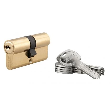 THIRARD - Cylindre De Serrure Double Entrée Trafic 6, 30x30mm, Anti-arrachement, Anti-perçage, Laiton, 5 Clés