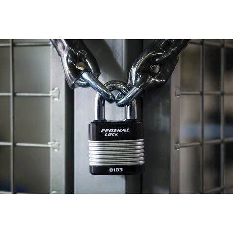 THIRARD - Cadenas à Clé Fédéral Lock Protector, Extérieur, Acier, Double Verrouillage, 50mm, 2 Clés – Image 2