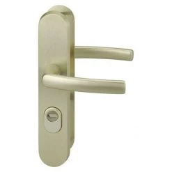 THIRARD - Ensemble Poignés De Sécurité Pour Porte D'entrée, Béquille Double, Entr'axe De Fixation 216mm, Couleur F2