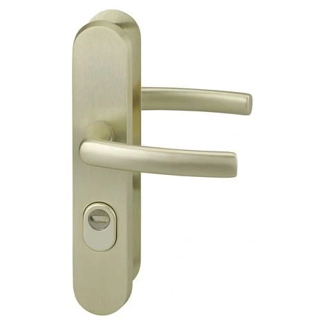 THIRARD - Ensemble Poignés De Sécurité Pour Porte D'entrée, Béquille Double, Entr'axe De Fixation 216mm, Couleur F2