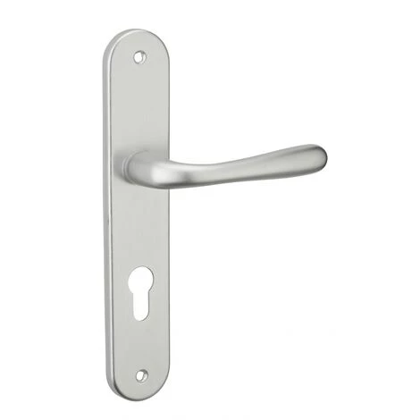 THIRARD - Ensemble De Poignées Pour Porte D'entrée Pelope Trou De Cylindre, Carré 7mm, Entr'axes 195mm, Argent