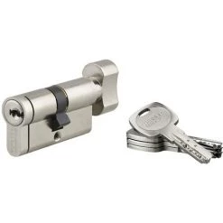 Cylindre De Haute Sécurité à Bouton Transit 2 Thirard - Dimension 30 X 30 Mm