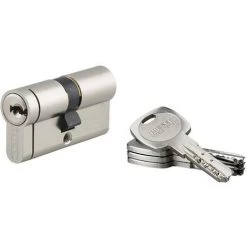 Cylindre De Haute Sécurité Transit 2 Thirard - Dimension 30 X 30 Mm